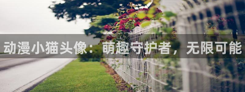 omofun动漫网在线观看：动漫小猫头像：萌趣守护者，无限可能